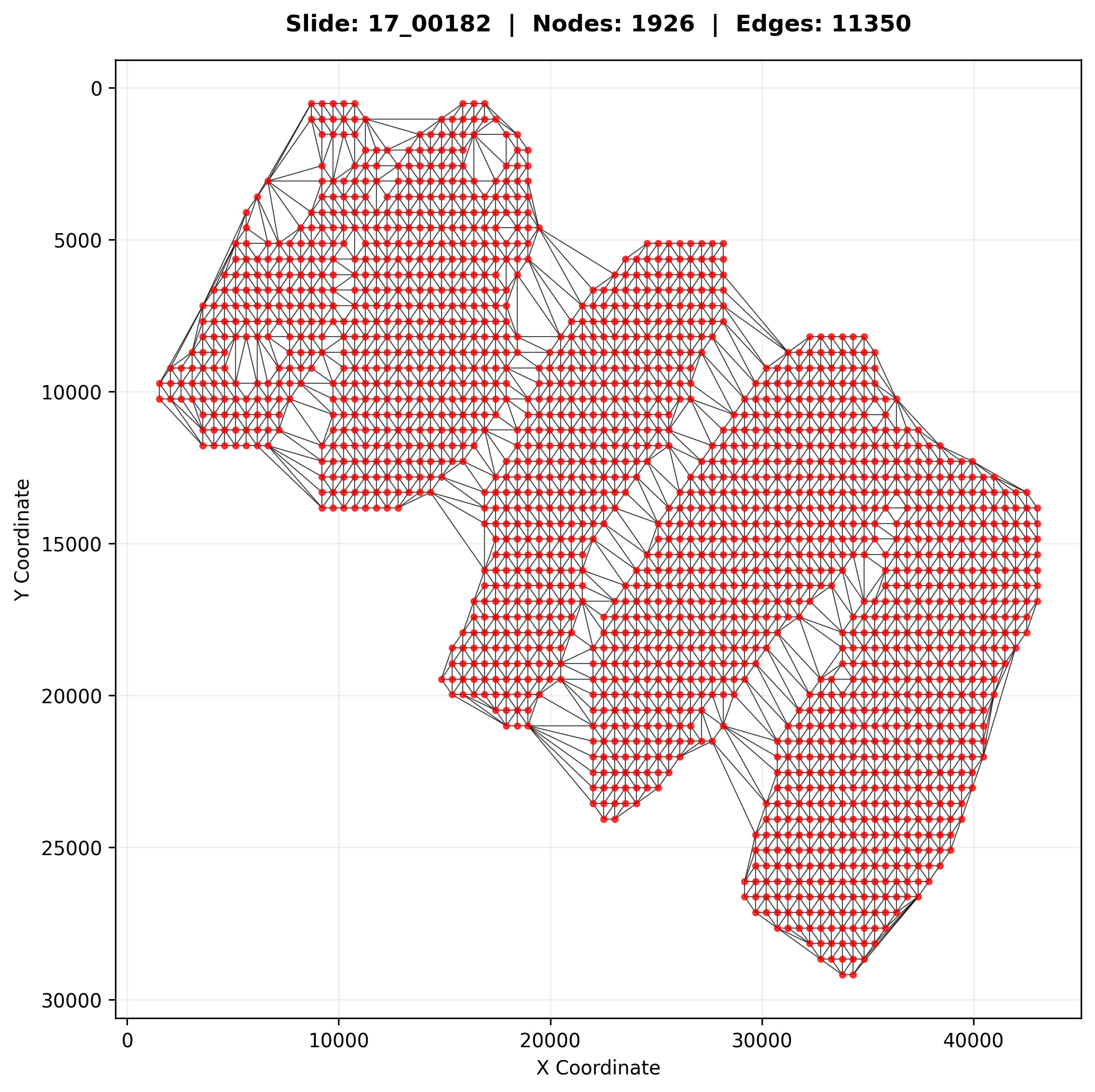 Delaunay-triangulated patch graph